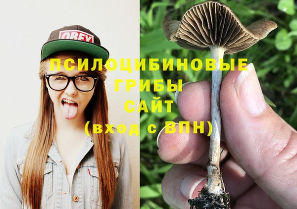 ГАЛЛЮЦИНОГЕННЫЕ ГРИБЫ Белокуриха