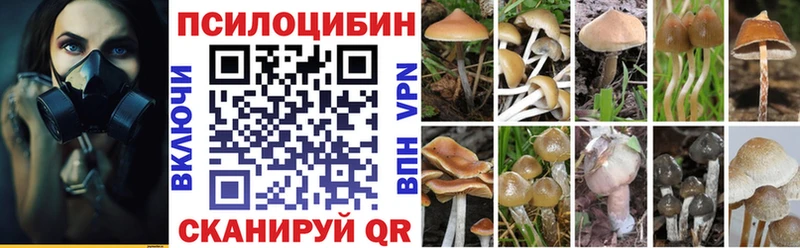 Галлюциногенные грибы мухоморы  где купить наркотик  Ворсма 